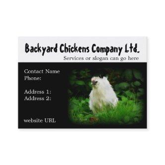 Backyard Chickens or Eggs Supply