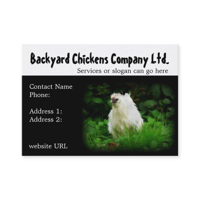 Backyard Chickens or Eggs Supply