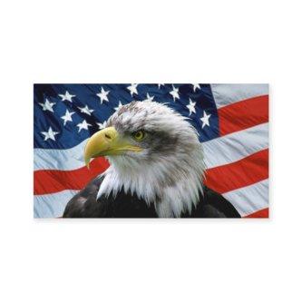 Bald Eagle American Flag