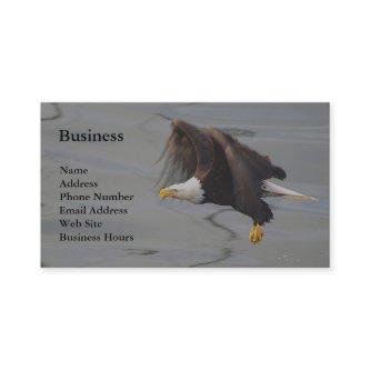 Bald Eagle Fishing Wildlife