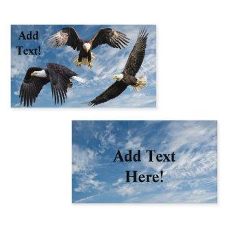 Bald Eagle Soaring