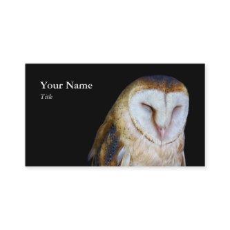 Barn Owl