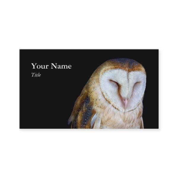 Barn Owl