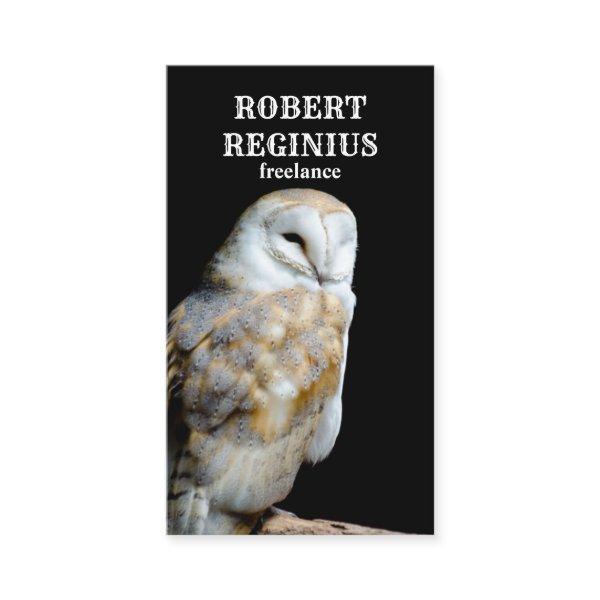Barn Owl On The Black Background
