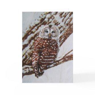 Barred Owl Greeting Card -blank inside