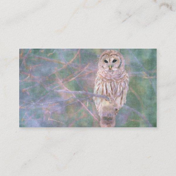 Barred Owl Pastel Oilpainting