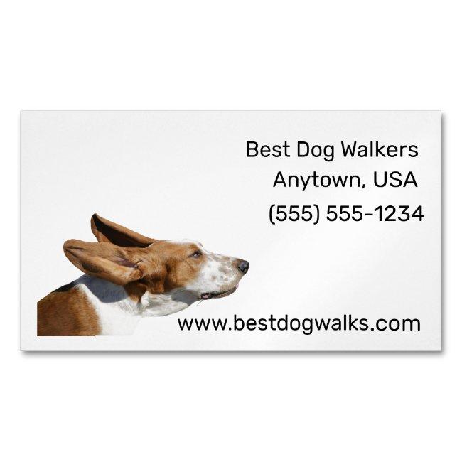 Basset Hound Ears Flapping in Wind Dog Walker Magnet