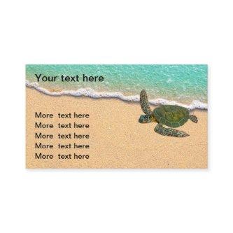 Beach Nature Coastal Theme Realtor