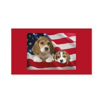 Beagle Breeder