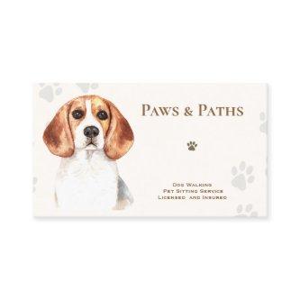 Beagle Dog Walker Pet Sitting