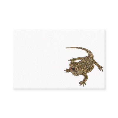 Bearded Dragon