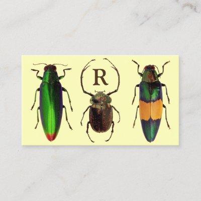 Beautiful Bugs | Insects | Monogram | Entomologist