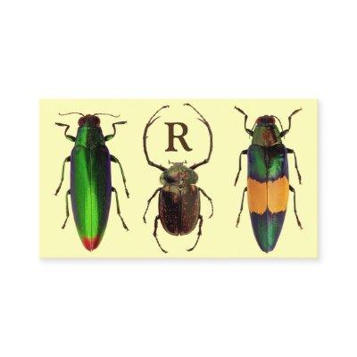 Beautiful Bugs | Insects | Monogram | Entomologist