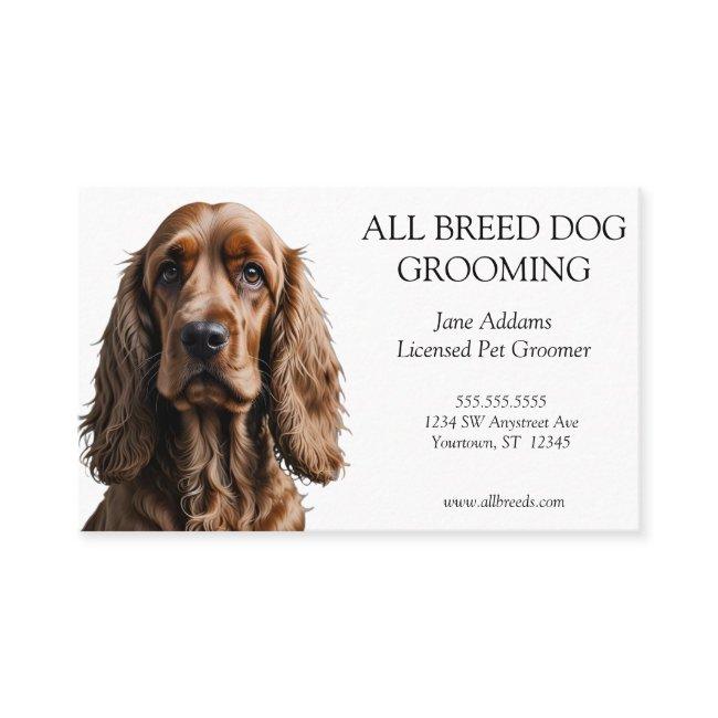 Beautiful Cocker Spaniel Dog Grooming Pet Services