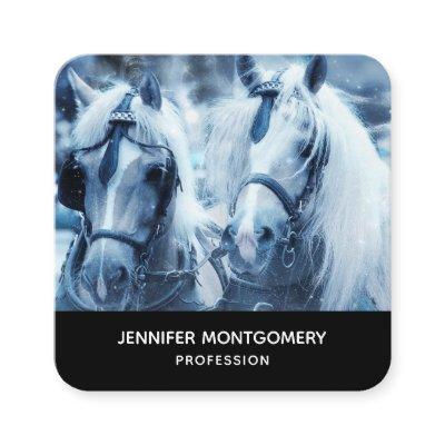 Beautiful Horse Team Winter Photo Square