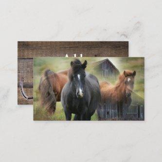 Beautiful Horses and Rustic Barn