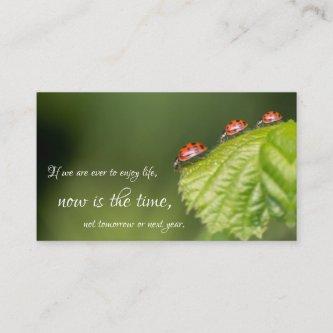 Beautiful ladybugs with motivational quote