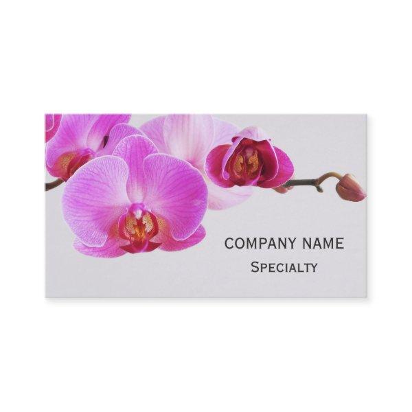 Beautiful Pink Orchids