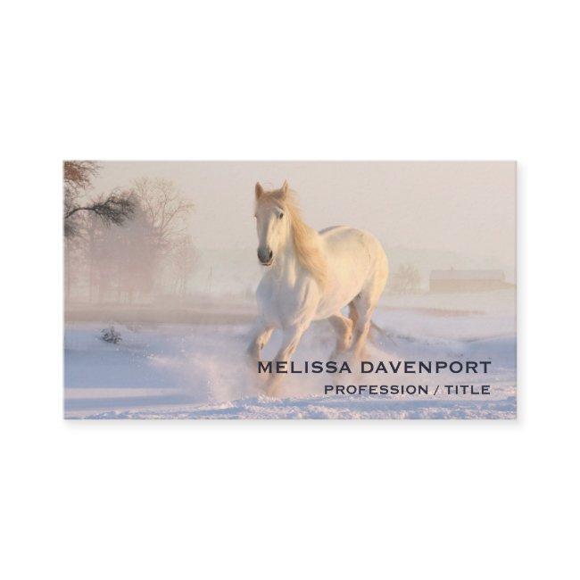 Beautiful White Horse Running in the Snow