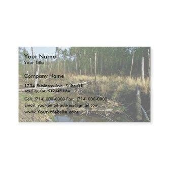 Beaver Dam