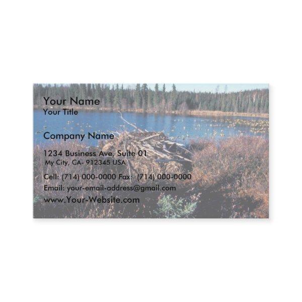 Beaver Lodge on Martin Lake