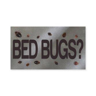 Bed Bug Removal