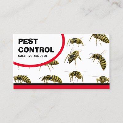 Bed Bugs Removal Pest Control Service Business Car