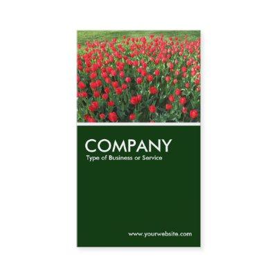 Bed of Red Tulips 01 - Dark Green