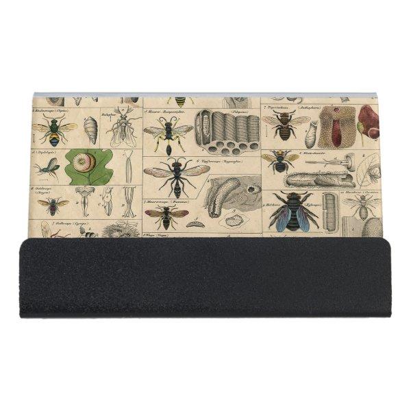Bee Insect Bug Wasp Natural Nature Bees Painting Desk  Holder