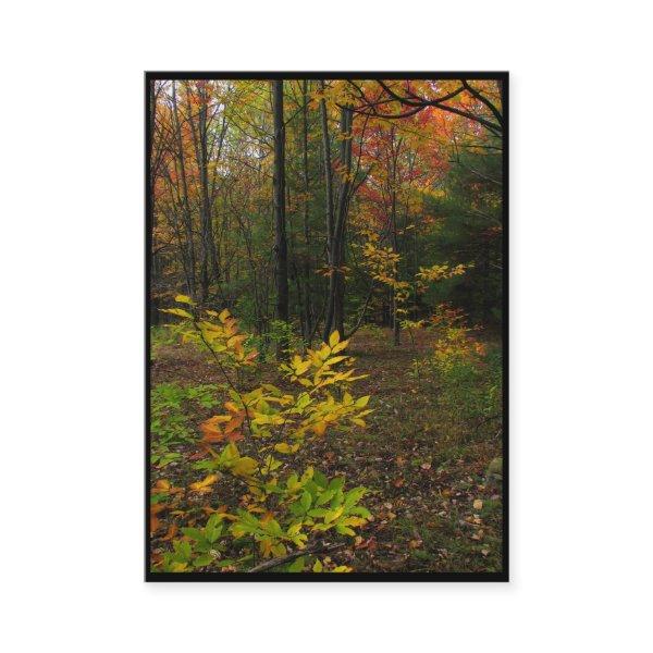 Beech Woods ATC
