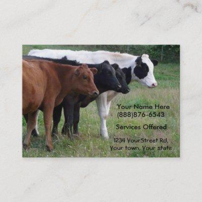 Beef Cattle Vet or Insemination Services Card