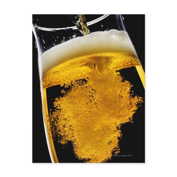 Beer been poured into glass, studio shot postcard