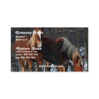 Belgian Draft Horse