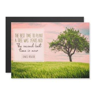 Best Time To Plant A Tree