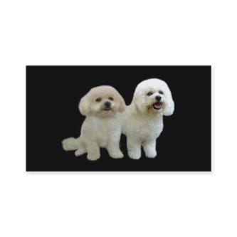 Bichon Breeder