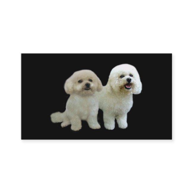 Bichon Breeder
