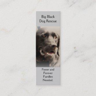 Big Black  Dog Rescue Bookmark Style Biz Card