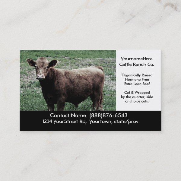 Big Brown Cow - Beef Farming or Ranching Card