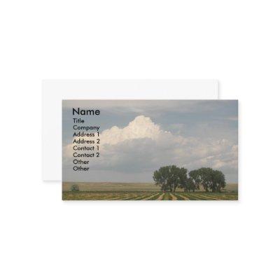 Big Sky Farmland Landscape