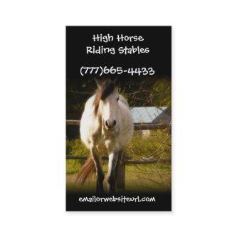 Big White Horse in Rural Field Equestrian Biz