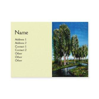 BIRCH TREES IN TUSCANY