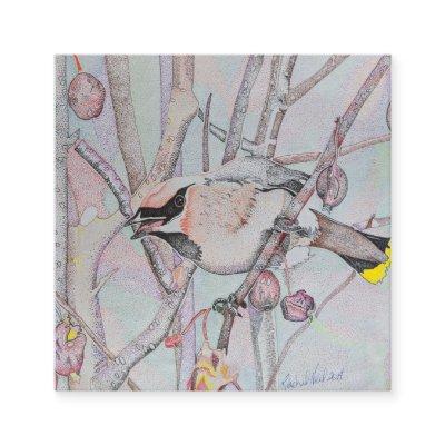 Bird , Wild bird  art