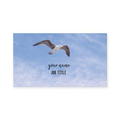 Bird Flying Blue Sky Background