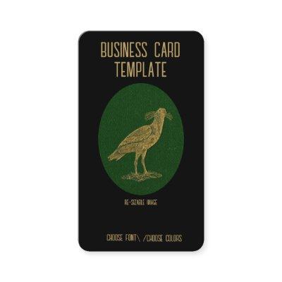 Bird Nature Black Birds Crow