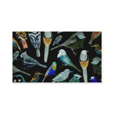 Birds of America- pets and wild birds