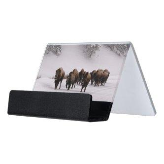 Bison in Winter Desk  Holder