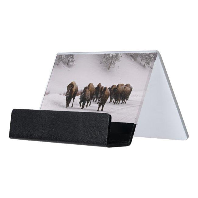 Bison in Winter Desk Holder