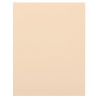 Bisque  (solid color)  letterhead