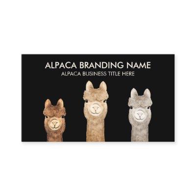 Black Alpacas