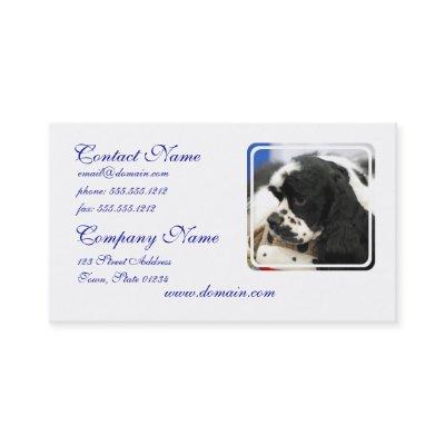 Black and White Cocker Spaniel